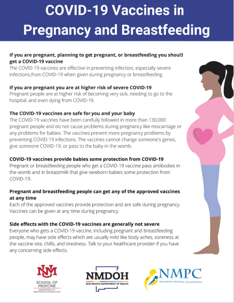 Pregnancy and Breastfeeding Guidance screenshot